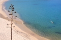 vacances en corse29.jpg