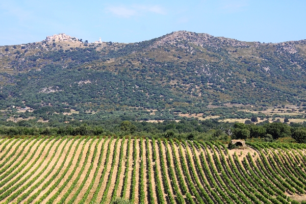 vacances en corse2.jpg