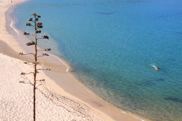 vacances en corse29.jpg