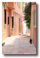 vacances en corse4.jpg vacances en corse4.jpg