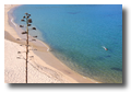 vacances en corse29.jpg vacances en corse29.jpg